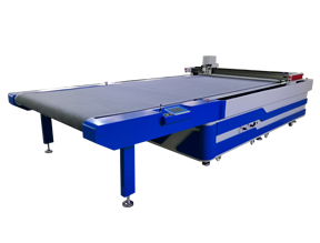 Multilayer fabric pneumatic cutter with CCD camera