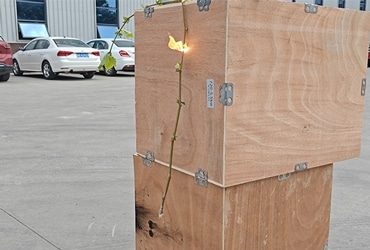 Laser Obstacle Remover Application