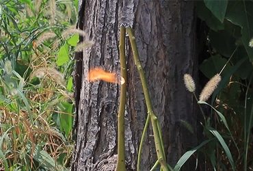 Laser Obstacle Remover Application