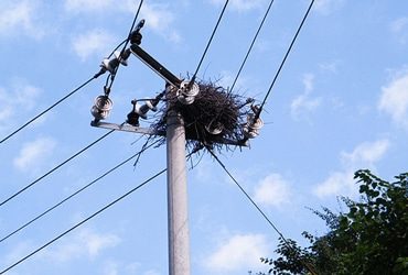 Laser Obstacle Remover Application